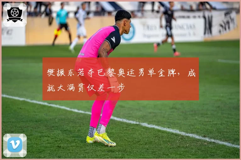 樊振东若夺巴黎奥运男单金牌,成就大满贯仅差一步