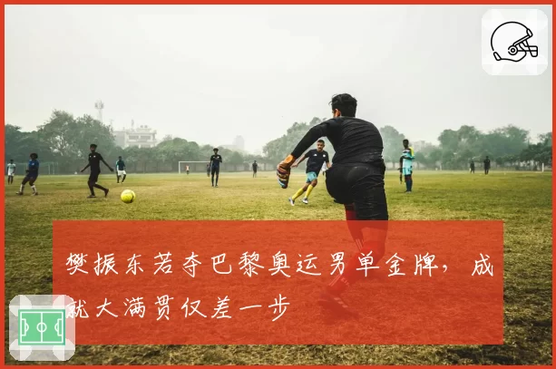 樊振东若夺巴黎奥运男单金牌,成就大满贯仅差一步