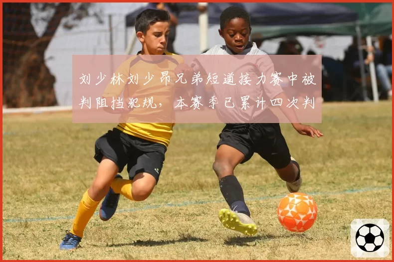 刘少林刘少昂兄弟短道接力赛中被判阻挡犯规,本赛季已累计四次判罚争议